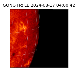 gong - 2024-08-17T04:00:42