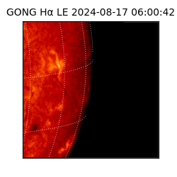 gong - 2024-08-17T06:00:42