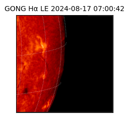 gong - 2024-08-17T07:00:42