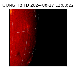 gong - 2024-08-17T12:00:22
