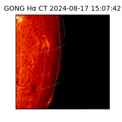 gong - 2024-08-17T15:07:42
