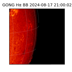 gong - 2024-08-17T21:00:02