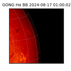 gong - 2024-08-17T01:00:02