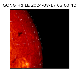 gong - 2024-08-17T03:00:42
