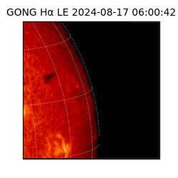 gong - 2024-08-17T06:00:42