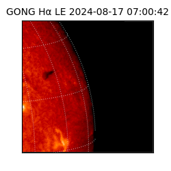 gong - 2024-08-17T07:00:42
