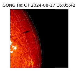 gong - 2024-08-17T16:05:42
