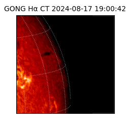 gong - 2024-08-17T19:00:42