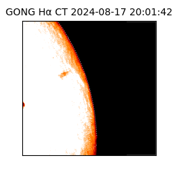 gong - 2024-08-17T20:01:42
