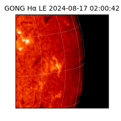 gong - 2024-08-17T02:00:42