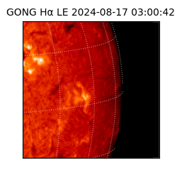 gong - 2024-08-17T03:00:42