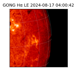 gong - 2024-08-17T04:00:42