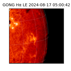 gong - 2024-08-17T05:00:42