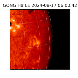 gong - 2024-08-17T06:00:42