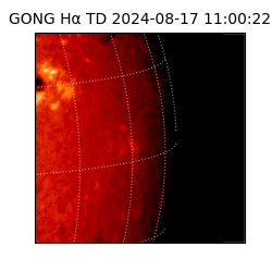 gong - 2024-08-17T11:00:22
