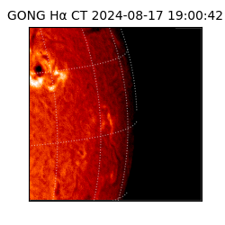 gong - 2024-08-17T19:00:42