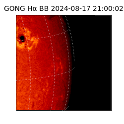 gong - 2024-08-17T21:00:02