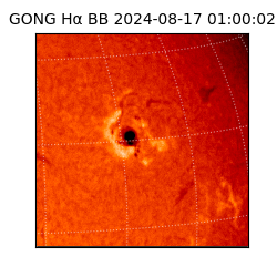 gong - 2024-08-17T01:00:02