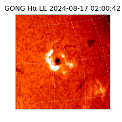 gong - 2024-08-17T02:00:42
