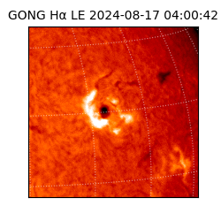 gong - 2024-08-17T04:00:42