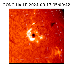 gong - 2024-08-17T05:00:42