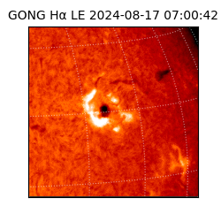 gong - 2024-08-17T07:00:42
