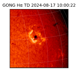 gong - 2024-08-17T10:00:22