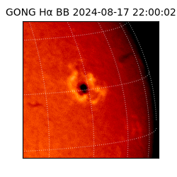 gong - 2024-08-17T22:00:02