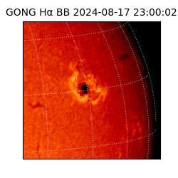 gong - 2024-08-17T23:00:02