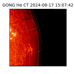 gong - 2024-08-17T15:07:42