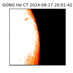 gong - 2024-08-17T20:01:42