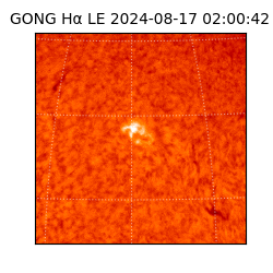 gong - 2024-08-17T02:00:42