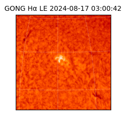 gong - 2024-08-17T03:00:42
