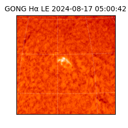 gong - 2024-08-17T05:00:42