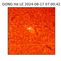 gong - 2024-08-17T07:00:42
