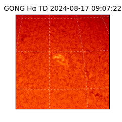 gong - 2024-08-17T09:07:22