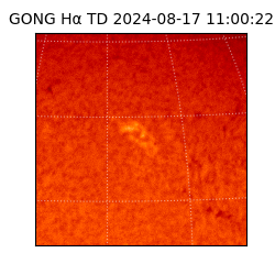 gong - 2024-08-17T11:00:22
