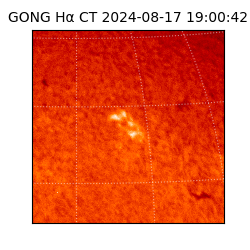 gong - 2024-08-17T19:00:42