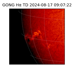 gong - 2024-08-17T09:07:22
