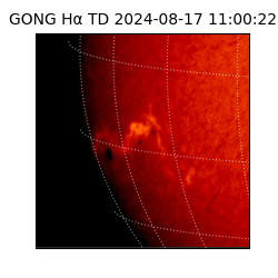 gong - 2024-08-17T11:00:22