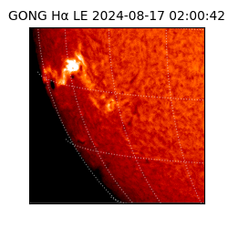 gong - 2024-08-17T02:00:42