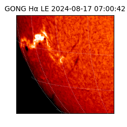 gong - 2024-08-17T07:00:42