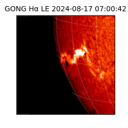 gong - 2024-08-17T07:00:42