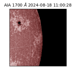 saia - 2024-08-18T11:00:28.717000