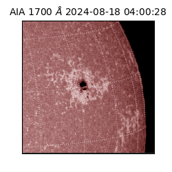 saia - 2024-08-18T04:00:28.721000
