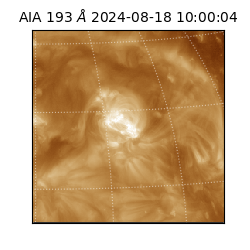 saia - 2024-08-18T10:00:04.843000
