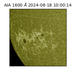 saia - 2024-08-18T10:00:14.126000