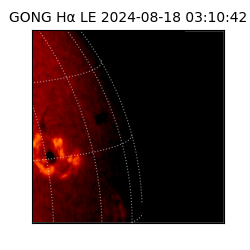 gong - 2024-08-18T03:10:42