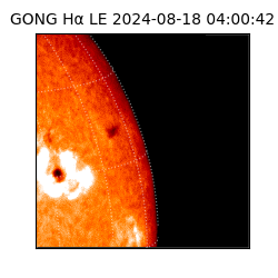gong - 2024-08-18T04:00:42