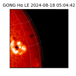 gong - 2024-08-18T05:04:42